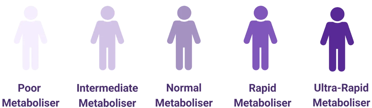 Metabolism